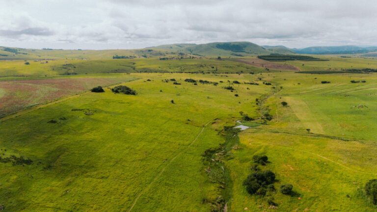 Mpumalanga Regulator Warns Illegal Gambling Fight Will Define Oversight