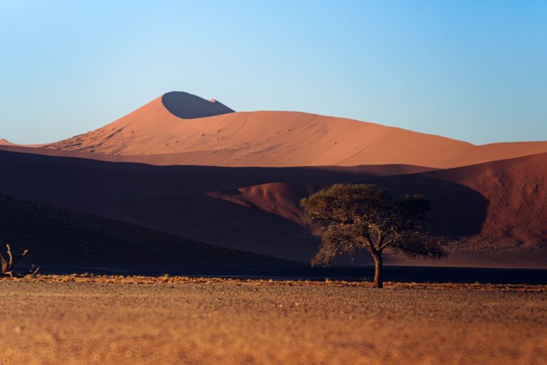 Namibia Advances Gambling Reform Proposals Amid Regulatory Staffing Gaps