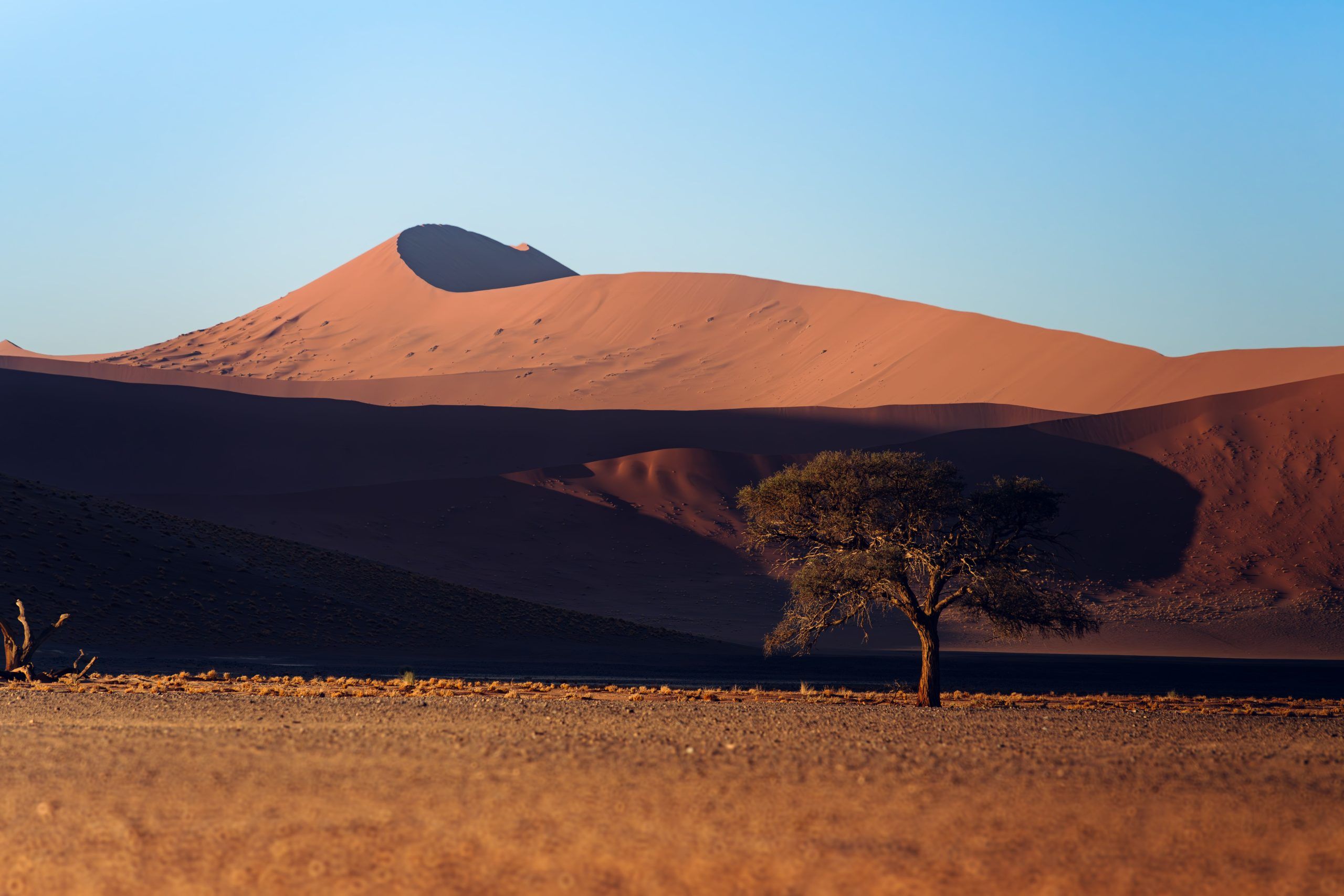 Namibia Advances Gambling Reform Proposals Amid Regulatory Staffing Gaps