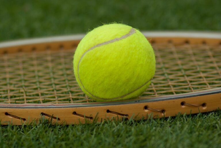 Serbian Tennis Player Stefan Milićević Banned for 24 Years Over Match-Fixing